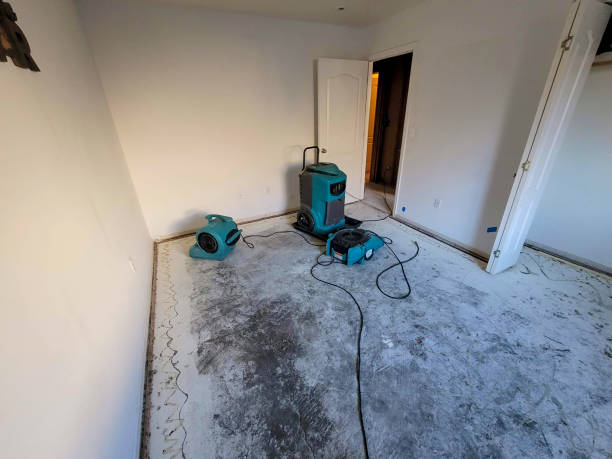Best Mold removal after water damage  in Helotes, TX