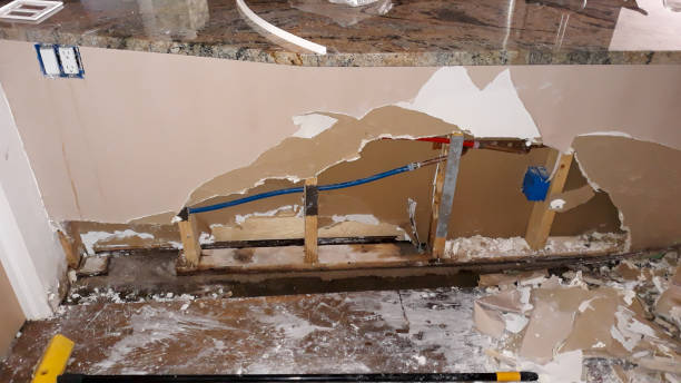 Best Professional water damage repair  in Helotes, TX